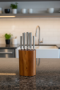 Danny Home 5 Piece Knife Set With Acacia Wood Block