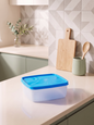 Easy Release Freezer Container – 650 ml
