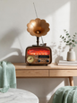 Vintage Gramophone Bluetooth Radio with Flame Light