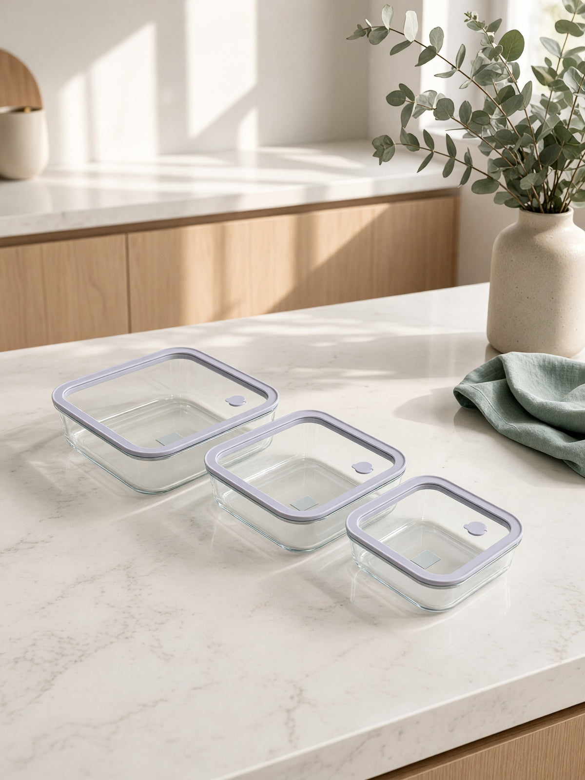 Borosilicate Glass Food Container Set with Silicone Glass Lids – 3 Pieces