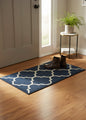 Danny Home Non Slip Door/ Kitchen Mat (RM09-03)